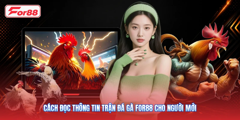 Cách Đọc Thông Tin Trận Đá Gà FOR88 Cho Người Mới